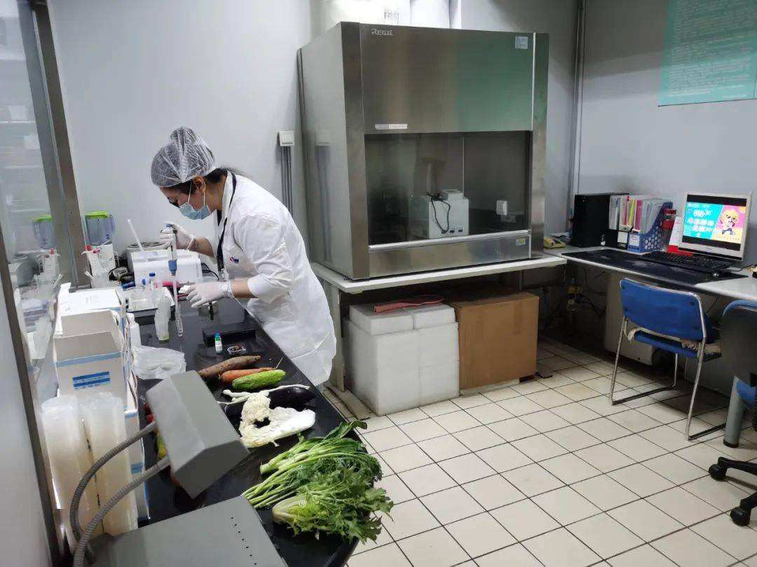 景德镇食品检测实验室装修方案